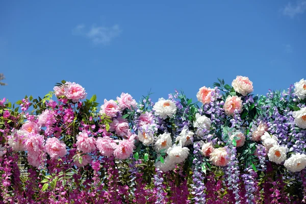 Molti fiori primaverili sulla linea di fondo sotto cielo blu chiaro — Foto Stock