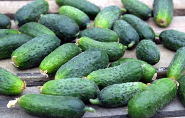 Eski ahşap birçok salatalık tablo açık en iyi görünümü