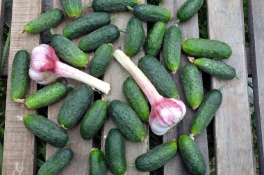 Eski ahşap sarımsaklı birçok salatalık tablo açık en iyi görünümü