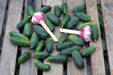 Eski ahşap sarımsaklı birçok salatalık tablo açık en iyi görünümü