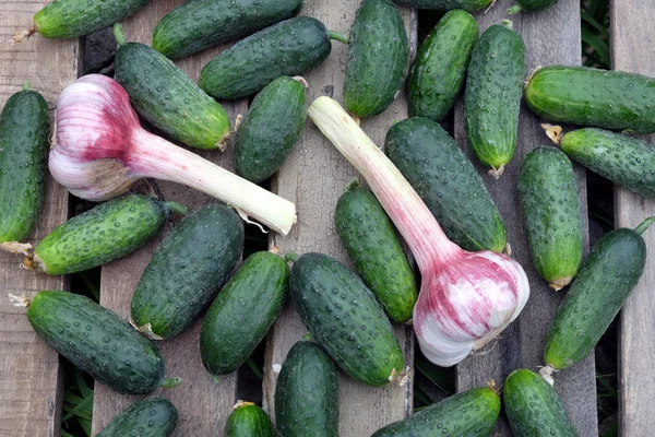 Eski ahşap sarımsaklı birçok salatalık tablo açık en iyi görünümü