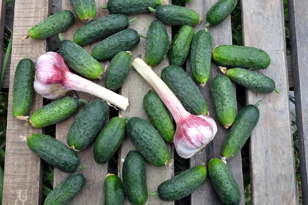 Eski ahşap sarımsaklı birçok salatalık tablo açık en iyi görünümü