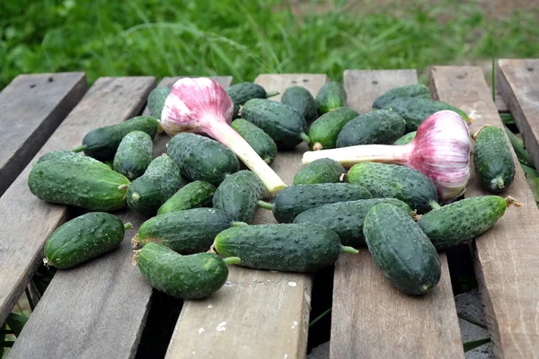 Muchos pepinos con ajo en la vieja mesa de madera al aire libre —  Fotos de Stock