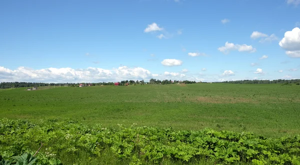 Rural landscape with green field and a village far away — Stock Photo, Image