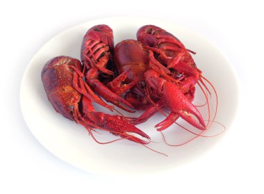 Pişmiş kerevit beyaz izole