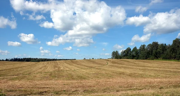 Paisagem com estrada rural através de um campo — Fotografia de Stock