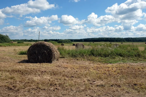 Krajina s seno rohlíky na obdělávat pole — Stock fotografie