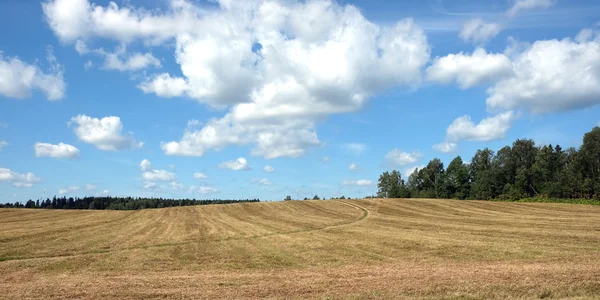 Landschaft mit Landstraße durch ein Feld — Stockfoto