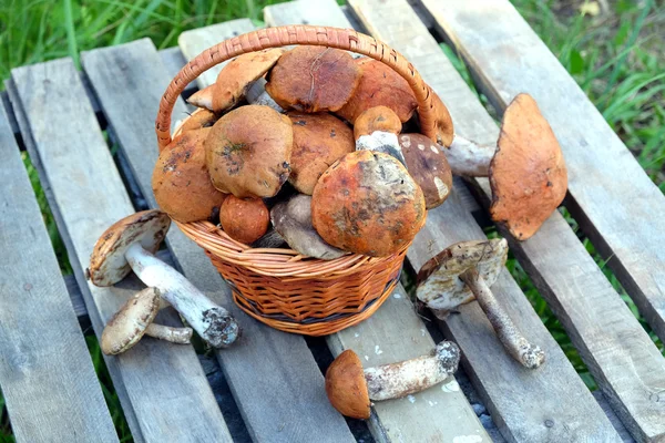 Essbare Pilze auf einem Holztisch — Stockfoto