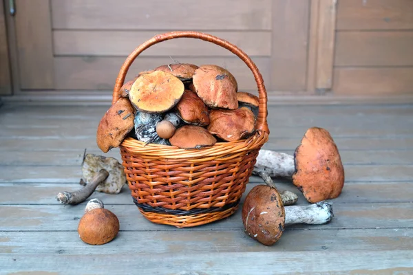 현관에서 갈색 바구니에 버섯 — 스톡 사진