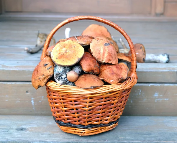 Champignons dans le panier brun sur les marches du porche — Photo