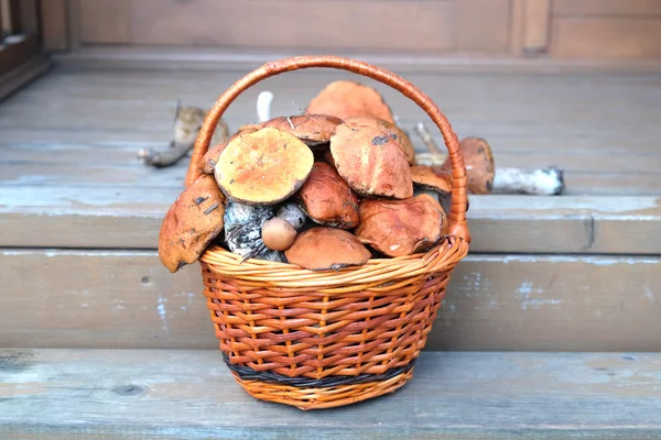 Champignons dans le panier brun sur les marches du porche — Photo