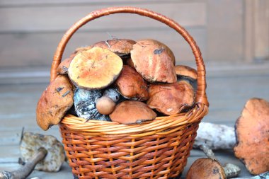 Mantar verandada kahverengi sepeti