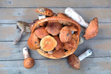 Mantar kahverengi sepet top closeup görüntülemek