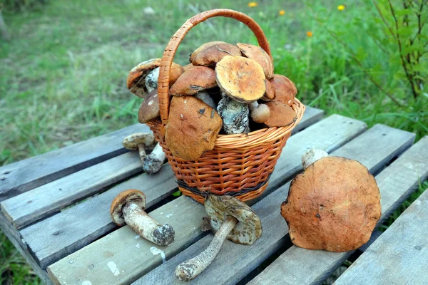 Ätliga svampar på ett träbord närbild — Stockfoto