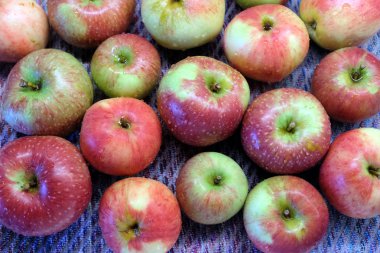 Olgun elma kırmızı ve yeşil su damlaları ile yıkanmış