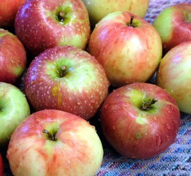 Olgun elma temiz kırmızı ve yeşil su damlaları ile