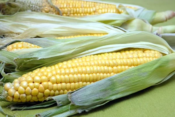 Протирати вухо кукурудзи крупним планом — стокове фото