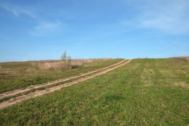 Yerden manzaralı güzel kırsal alan güneşli yaz gününde açık mavi gökyüzünün altından ufka uzanan yeşil bir tarladan geçiyor.