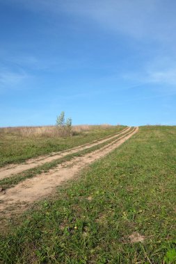 Yerden manzaralı güzel kır manzarası açık mavi gökyüzünün altındaki yeşil bir arazide güneşli bir yaz gününde ufuk çizgisine kadar uzanıyor.