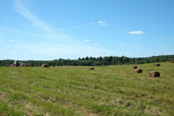 夏の晴れた日に森の端に多くのロール乾燥干し草と長いフィールドで働くトラクターと農村風景 — ストック写真