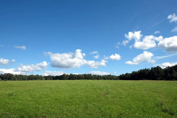 Hermoso Paisaje Rural Con Amplio Campo Verde Bosque Caducifolio Lejanas —  Fotos de Stock