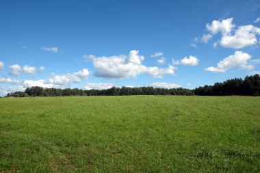 Büyük yeşil tarlaları ve yaprak döken ormanları olan güzel bir kırsal bölge. Sıcak yaz gününde, mavi gökyüzünde beyaz bulutların altında.