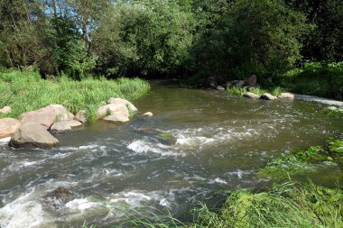 Hızlı küçük nehri olan manzara taşların üzerinden akar ve güneşli yaz gününde yaprak döken ormanın çalılıklarında saklanır.