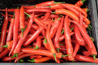 Sebze dükkanının üst katındaki siyah plastik kutunun içinde bir sürü olgun kırmızı biberle dolu bir hayat.