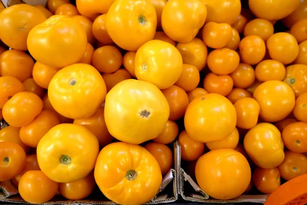 Still Life Crop Many Ripe Yellow Tomatoes Cardon Boxes Vegetable — Stock Photo, Image