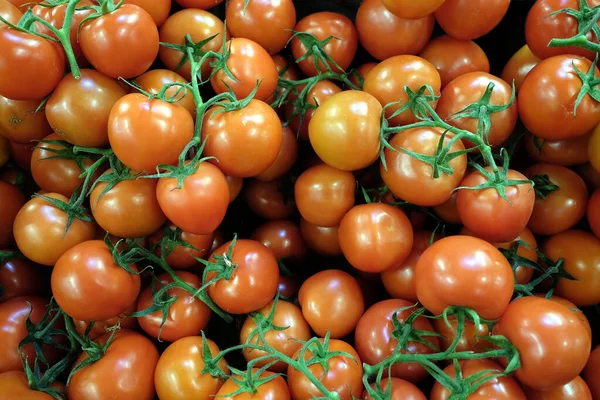 Still Life Lot Small Ripe Red Tomatoes Branches Background Top — Stock Photo, Image