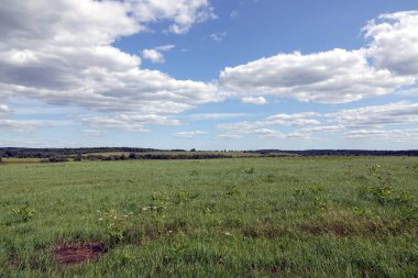 Tarlalar ve gökyüzü. Yeşil tarlaları olan güzel kırsal alanlar, uzak ormanlar ve yaz günü mavi gökyüzünde beyaz bulutlar.