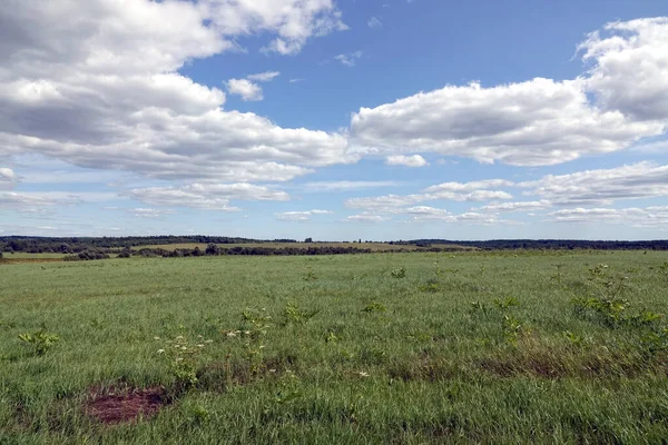 Pole Nebe Krásná Krajina Zeleným Polem Smíšený Les Dálce Bílé — Stock fotografie