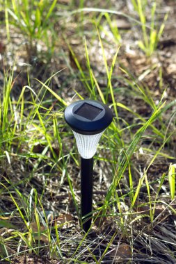 Yeşil çim closeup, güneş enerjisi üzerinde dekoratif fener