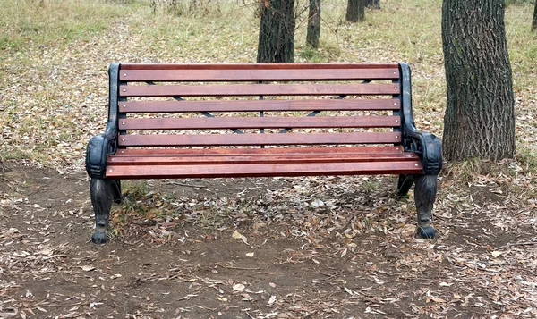 Banco de madeira marrom no parque de outono — Fotografia de Stock