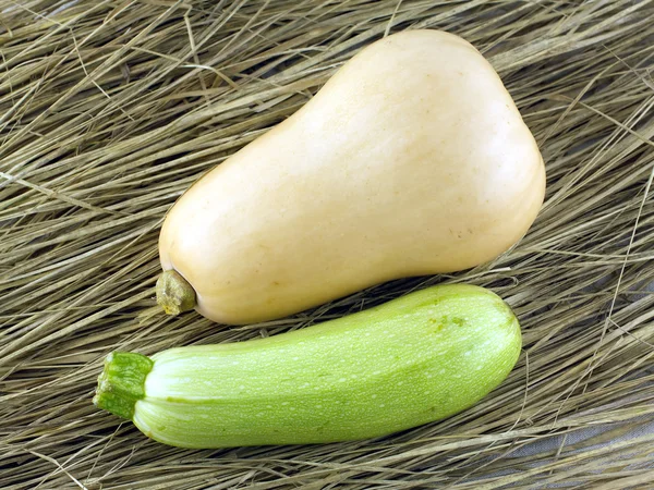 Kürbis und grüne Zucchini auf trockenem Heu liegend — Stockfoto