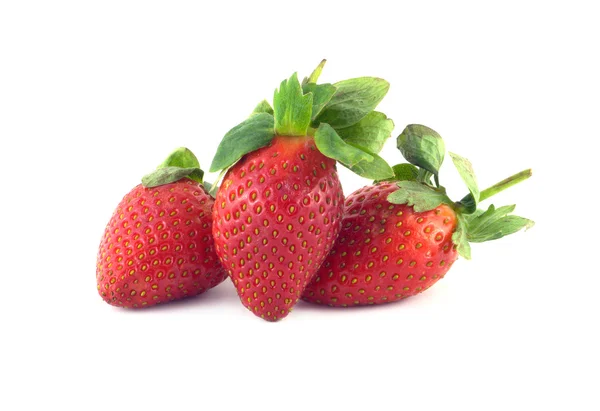 Três frutos de morango isolados em closeup branco — Fotografia de Stock