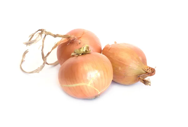 Three ripe golden onion isolated — Stock Photo, Image