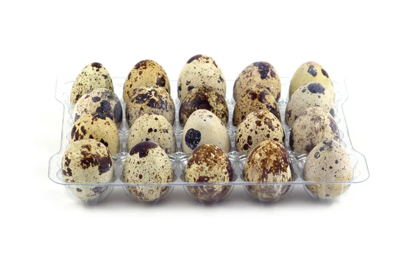 Muchos huevos de codorniz en paquete de plástico aislado primer plano —  Fotos de Stock