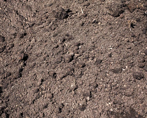 Losgemaakt bodem klaar voor aanplant gewassen als achtergrond — Stockfoto