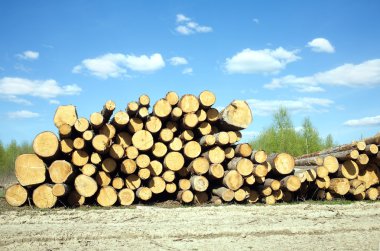 Landscape width stacked pine logs clipart