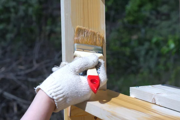 Le vernici a mano femminili marroni una scaffalatura di legno — Foto Stock