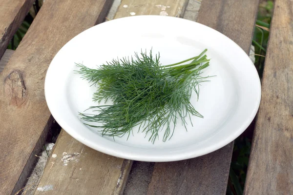 흰색 접시에 누워 신선한 녹색 딜으로 정 — 스톡 사진