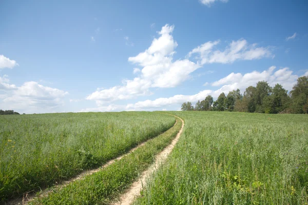 Paisagem com estrada rural através de um campo — Fotografia de Stock