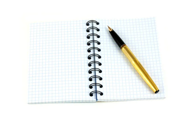 Notebook e penna stilografica dorata — Foto Stock