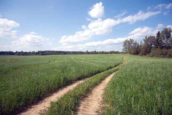 Landscape with rural road through a field — Stock Photo, Image