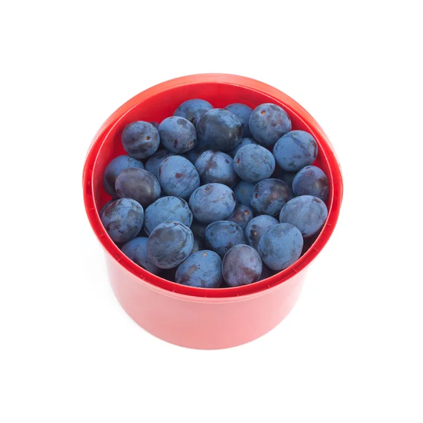 Ameixas azuis maduras em balde vermelho isolado — Fotografia de Stock