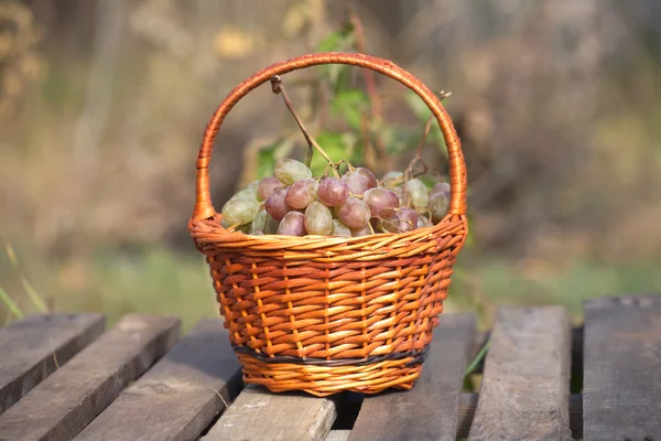 Red grape in brown wicker basket on wooden table closeup — Stock Photo, Image