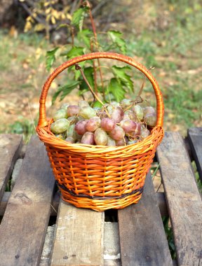 Kahverengi hasır sepet içinde kırmızı üzüm