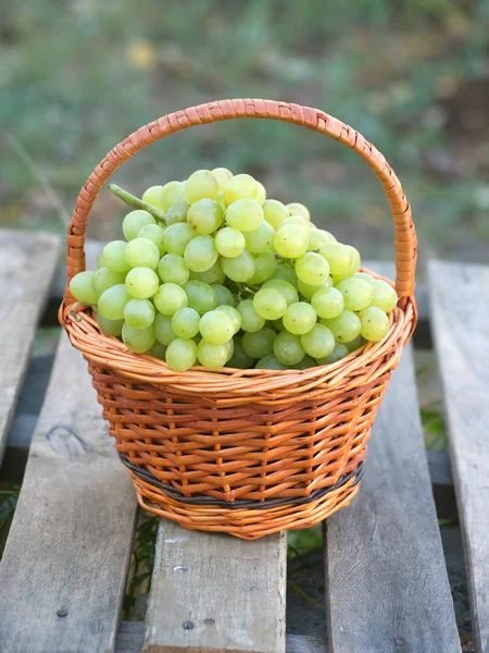 Traube in braunem Weidenkorb auf Holztisch Nahaufnahme — Stockfoto